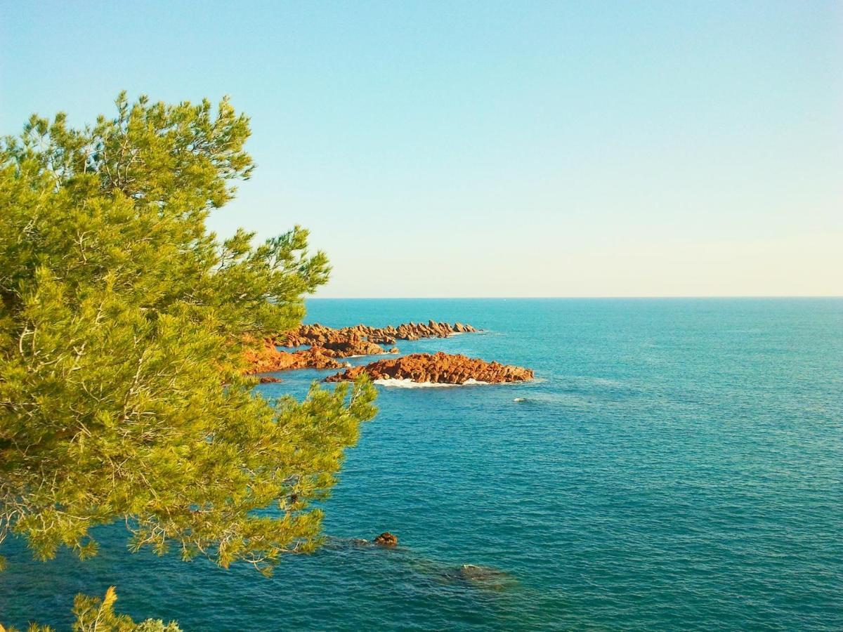 Residence Golfs De Valescure 9 Saint-Raphael  Bagian luar foto