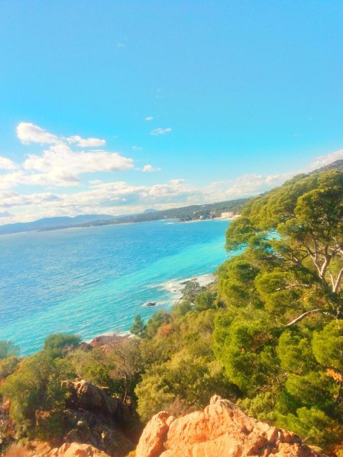 Residence Golfs De Valescure 9 Saint-Raphael  Bagian luar foto